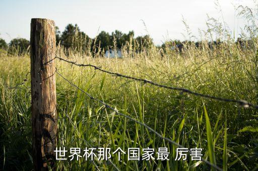 智利vs德國哪個厲害,我認(rèn)為德國奪冠在于團(tuán)隊(duì)精神
