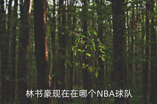 林書豪去哪個(gè)隊(duì),林書豪nba生涯回顧