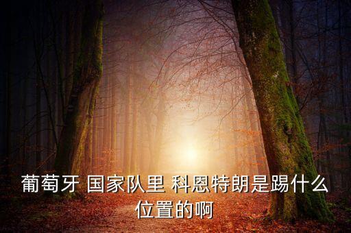下科恩進(jìn)步是哪個(gè)國(guó)家,美國(guó)人打賭:馬奔跑時(shí)蹄子是否都著地?