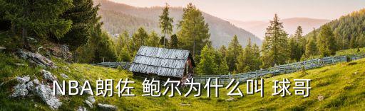 球哥鮑爾哪個隊(duì),中國球迷喊他爸爸美國籃球巨星