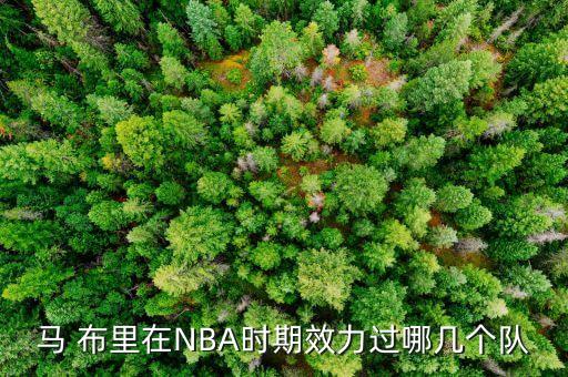 馬 布里在NBA時(shí)期效力過(guò)哪幾個(gè)隊(duì)