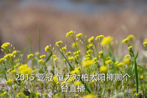 亞冠上港恒大哪個(gè)臺(tái),廣州恒大2-2戰(zhàn)平水原三星