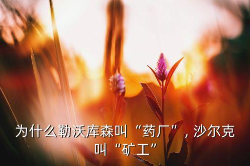 為什么勒沃庫(kù)森叫“藥廠”, 沙爾克叫“礦工”