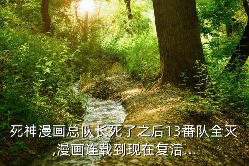 死神漫畫總隊長死了之后13番隊全滅,漫畫連載到現(xiàn)在復活...