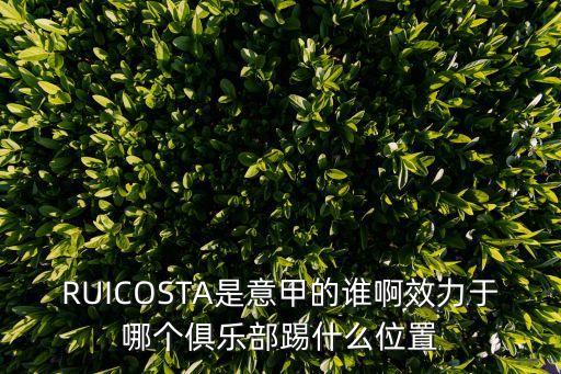 RUICOSTA是意甲的誰(shuí)啊效力于哪個(gè)俱樂(lè)部踢什么位置