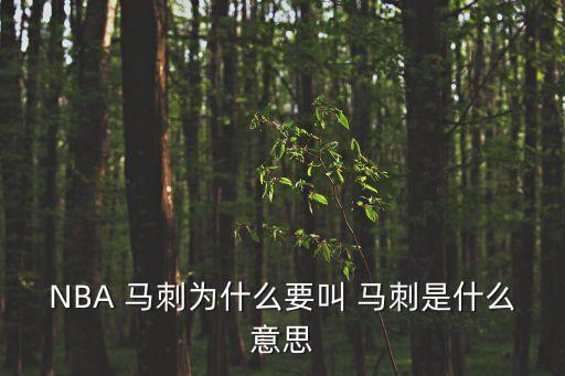 馬刺屬于哪個城市,圣安東尼奧馬刺隊名為馬刺(馬刺)