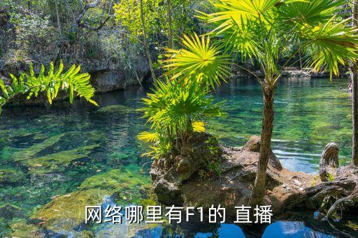 網(wǎng)絡哪里有F1的 直播