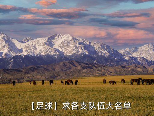 大邱是哪個(gè)國(guó)家的足球隊(duì),韓國(guó)國(guó)家足球隊(duì)現(xiàn)有主力隊(duì)伍有哪些?