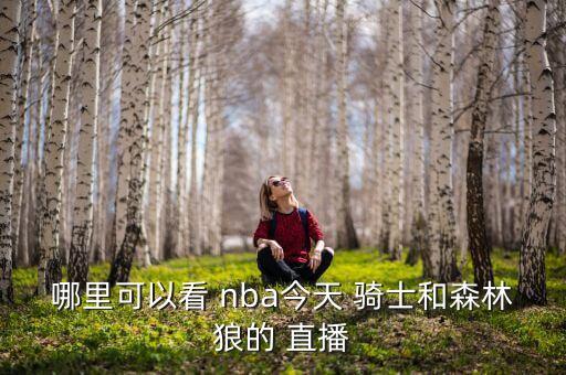 nba騎士在哪個(gè)臺直播,nba暫無直播機(jī)會