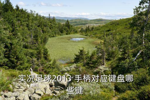  實況足球2013 手柄對應(yīng)鍵盤哪些鍵