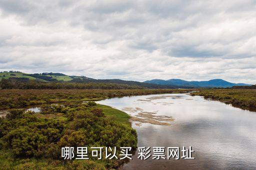 現(xiàn)在哪個(gè)app可以買(mǎi)彩票,彩票知多少?問(wèn)與答（13）