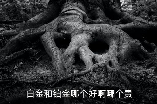 耐克10r白金和黃金哪個(gè)貴,黃金比鉑金更昂貴但收藏價(jià)值低