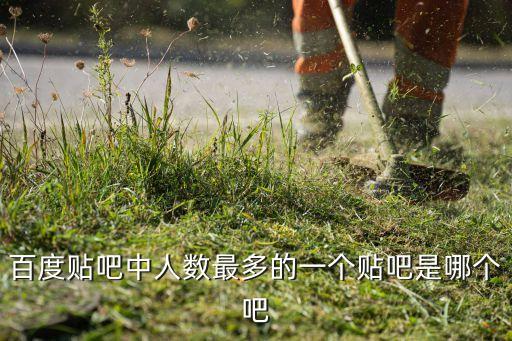 哪個(gè)貼吧人才最多,韓國明星吧沒有那么多關(guān)注度通常只有幾十萬
