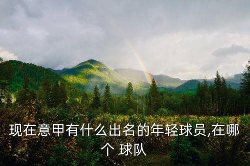 現(xiàn)在意甲有什么出名的年輕球員,在哪個 球隊