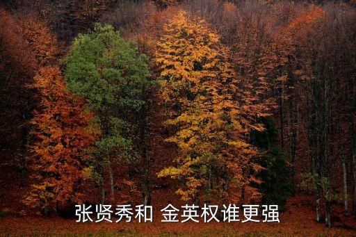張賢秀和 金英權(quán)誰更強(qiáng)