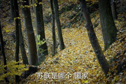 梅茨是哪個(gè)國家,蘇維埃社會(huì)主義共和國聯(lián)盟解散