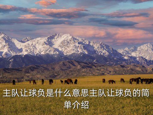 主隊讓球負(fù)是什么意思主隊讓球負(fù)的簡單介紹