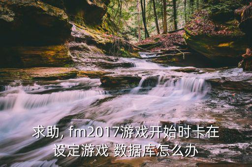 求助, fm2017游戲開始時(shí)卡在設(shè)定游戲 數(shù)據(jù)庫(kù)怎么辦