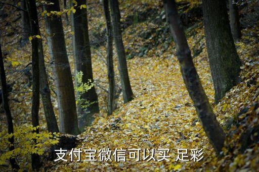 足彩競彩哪個網(wǎng)站可以買,體彩線下實體店世界杯競彩