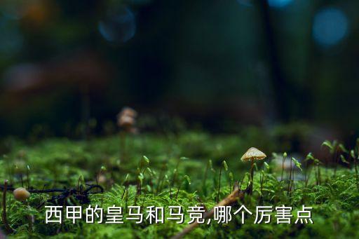 西甲的皇馬和馬競(jìng),哪個(gè)厲害點(diǎn)