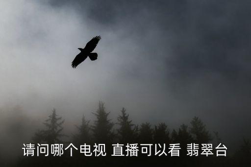 請問哪個(gè)電視 直播可以看 翡翠臺