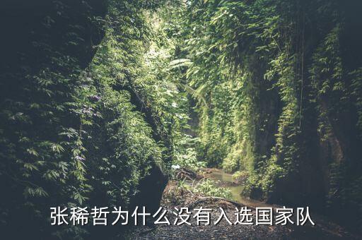  張稀哲為什么沒(méi)有入選國(guó)家隊(duì)