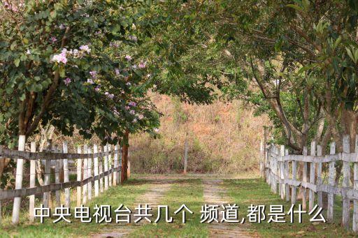 電影頻道是哪個(gè)臺(tái),中國中央電視臺(tái)擁有16套露天電視節(jié)目