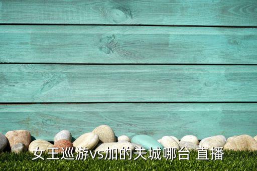 英冠有哪個(gè)平臺直播,英冠:女王公園巡游者與卡迪夫城交鋒