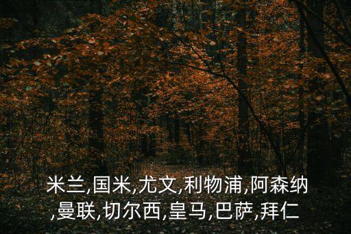 國際米蘭和里昂哪個好,曼聯(lián)、切爾西成績穩(wěn)定利物浦只踢歐冠杯