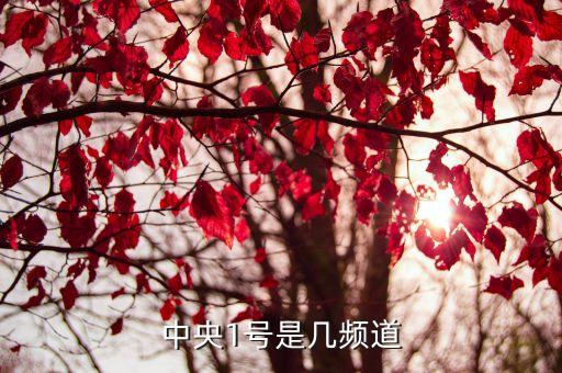 cctv1高清是哪個(gè)臺(tái),中央電視臺(tái)綜合頻道1981年開(kāi)播