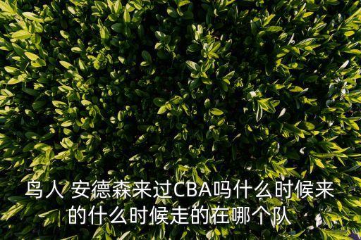 鳥人 安德森來過CBA嗎什么時候來的什么時候走的在哪個隊(duì)