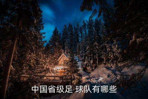 中國(guó)省級(jí)足 球隊(duì)有哪些