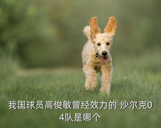 我國(guó)球員高俊敏曾經(jīng)效力的 沙爾克04隊(duì)是哪個(gè)