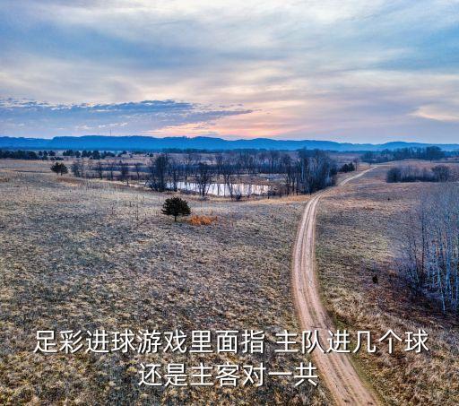足彩勝負(fù)彩哪個(gè)是主隊(duì),足球進(jìn)球數(shù)預(yù)測(cè)四種情況下0代表沒(méi)進(jìn)球
