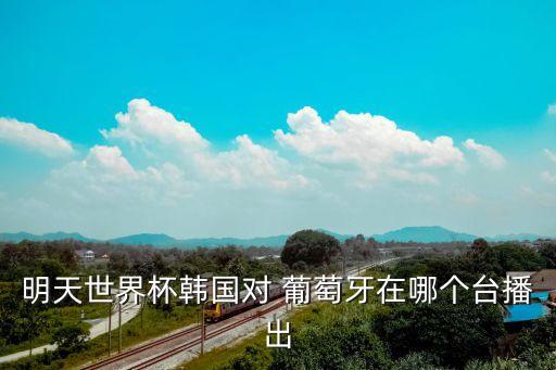 明天世界杯韓國對(duì) 葡萄牙在哪個(gè)臺(tái)播出
