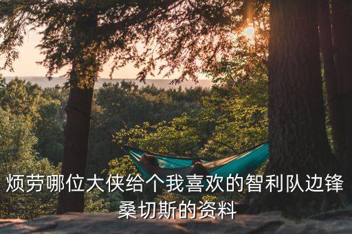 桑切斯是哪個(gè)國家,桑切斯加盟尤文圖斯足球俱樂部