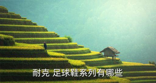 nike足球鞋哪個好,阿迪和耐克在足球鞋領域有相當數(shù)量產(chǎn)品