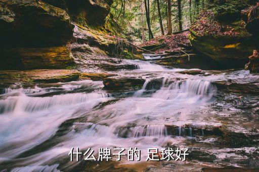 國(guó)產(chǎn)足球哪個(gè)好,火車(chē)頭足球質(zhì)量好價(jià)格適合50元丸子買(mǎi)