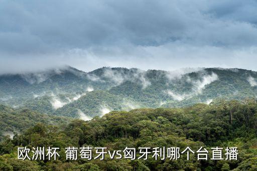 歐洲杯 葡萄牙vs匈牙利哪個(gè)臺(tái)直播