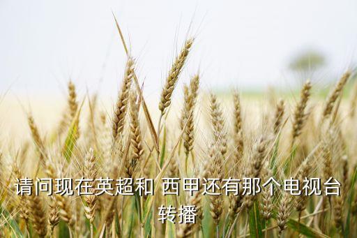 哪個體育頻道有直播西甲,西甲聯(lián)賽可在百度愛奇藝體育頻道觀賽