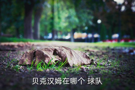 貝克漢姆在哪個(gè) 球隊(duì)