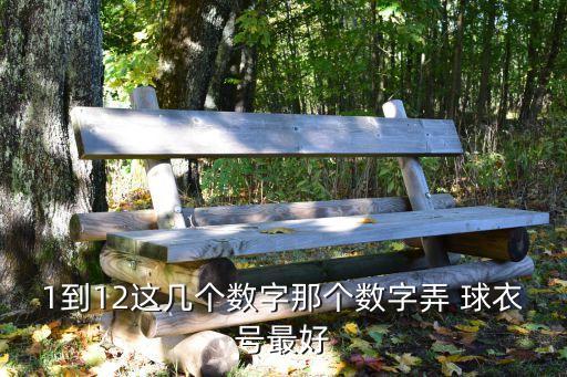 1到12這幾個數(shù)字那個數(shù)字弄 球衣號最好