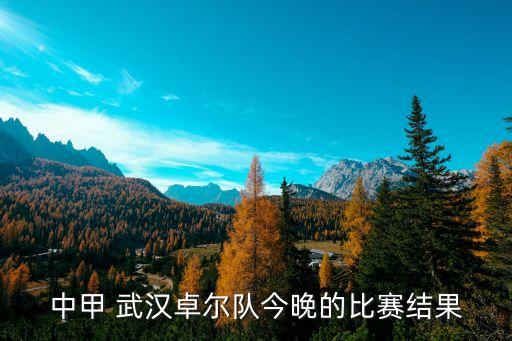 中甲 武漢卓爾隊(duì)今晚的比賽結(jié)果