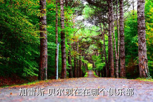加拉斯 貝爾哪個(gè)國家,電話之父貝爾逝世