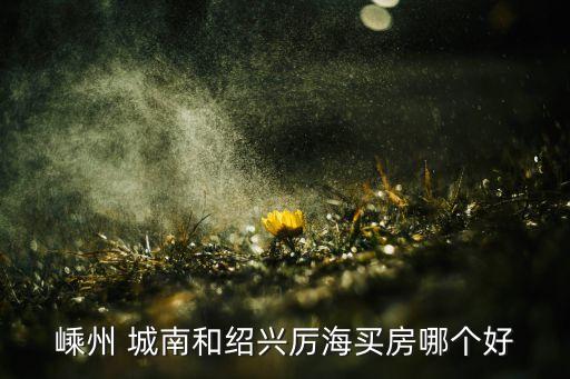 嵊州 城南和紹興厲海買房哪個好