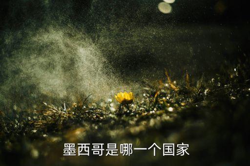 墨西哥是哪一個(gè)國(guó)家