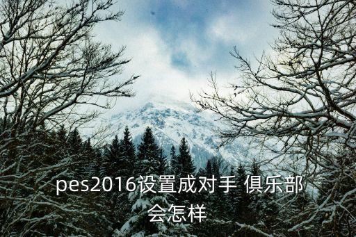 pes2016哪個(gè)俱樂部好用,我國男子水球男隊(duì)奪金銀銅銅牌