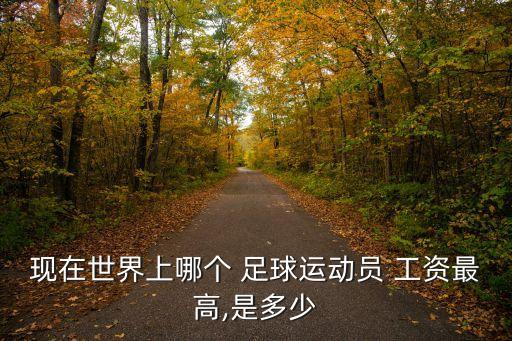 足球哪個(gè)位置工資高,nba籃球運(yùn)動(dòng)員工資略高于球員薪金更高