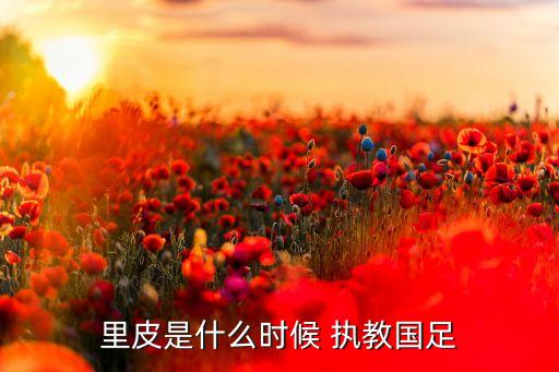 里皮是什么時候 執(zhí)教國足