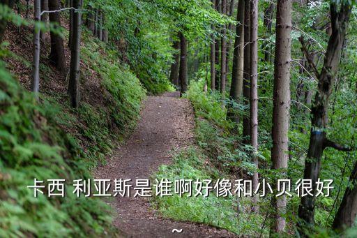 卡西利亞斯哪個(gè)國,卡西利亞s獲選2008年度最佳門將